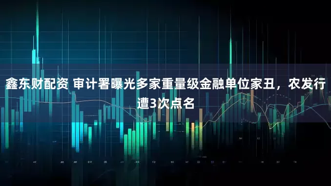 鑫东财配资 审计署曝光多家重量级金融单位家丑，农发行遭3次点名