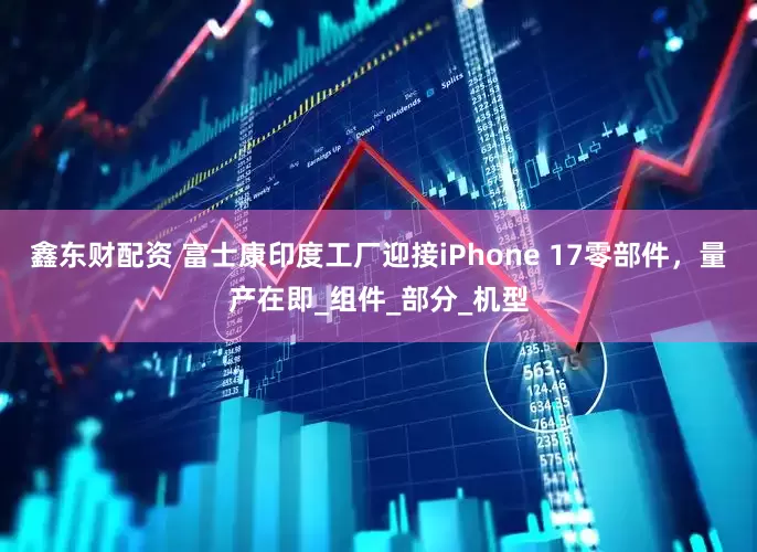 鑫东财配资 富士康印度工厂迎接iPhone 17零部件，量产在即_组件_部分_机型