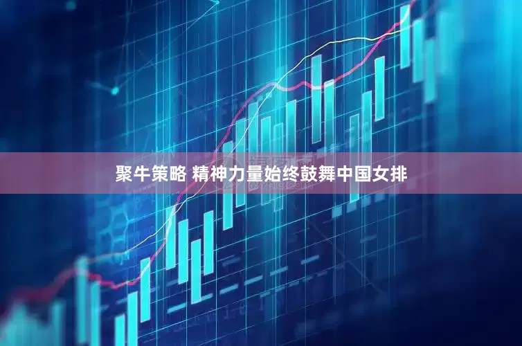 聚牛策略 精神力量始终鼓舞中国女排