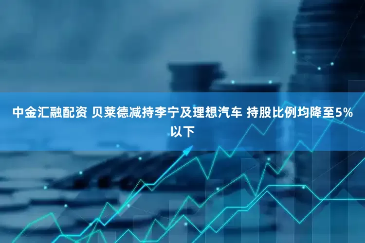 中金汇融配资 贝莱德减持李宁及理想汽车 持股比例均降至5%以下