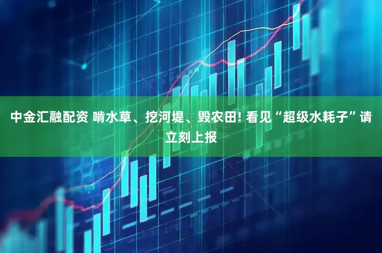 中金汇融配资 啃水草、挖河堤、毁农田! 看见“超级水耗子”请立刻上报