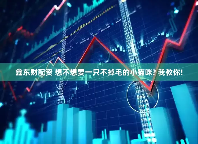 鑫东财配资 想不想要一只不掉毛的小猫咪? 我教你!