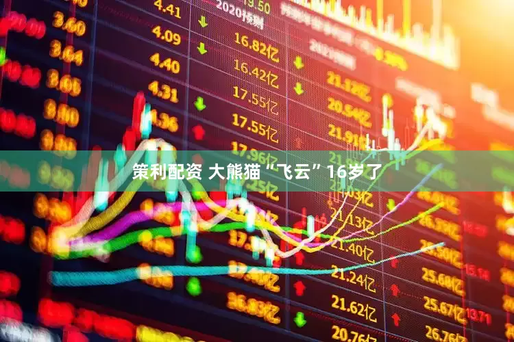 策利配资 大熊猫“飞云”16岁了